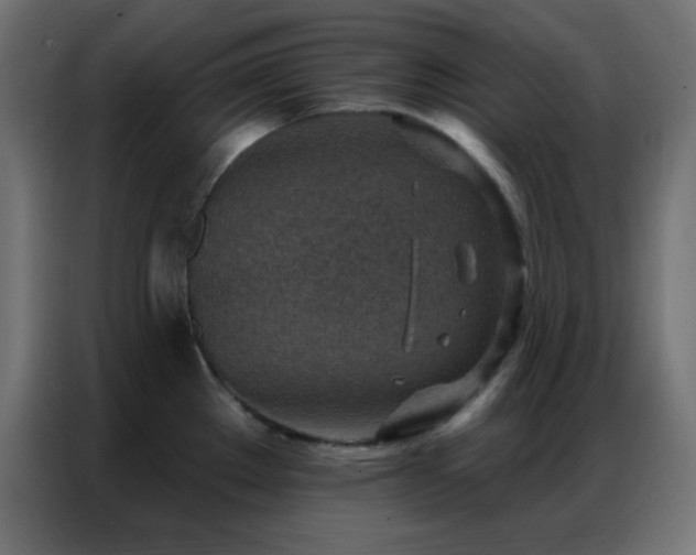 X0000086931289200704161416
