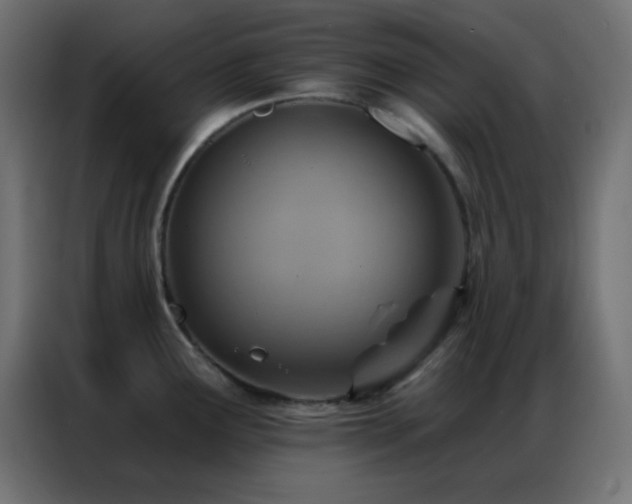 X0000086931291200704161416