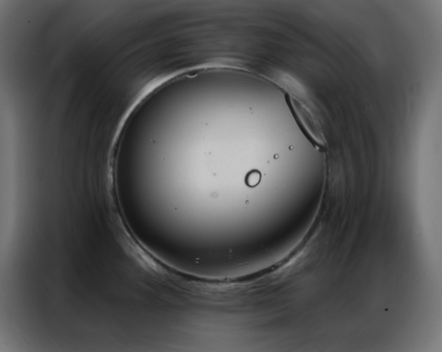 X0000086931292200704161416