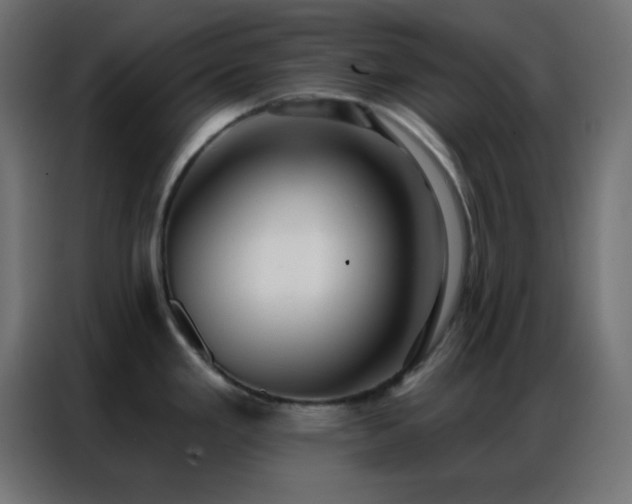 X0000086931293200704161416