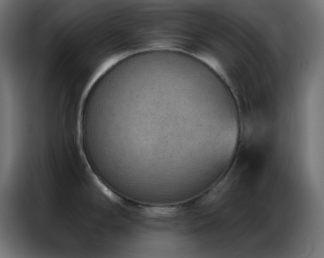 X0000086931294200704161416