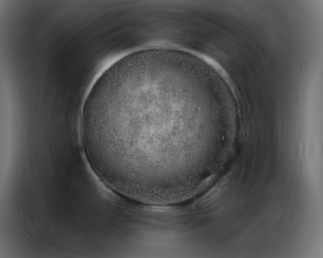 X0000086931295200704161416