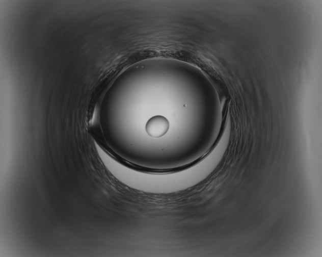 X0000086931298200704161415