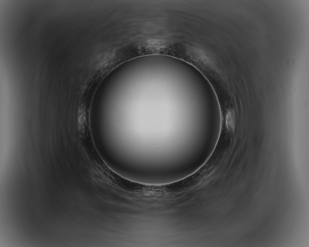 X0000086931299200704161415