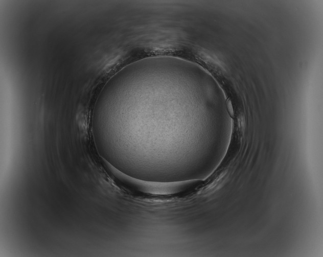 X0000086931300200704161415