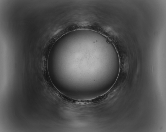 X0000086931301200704161415