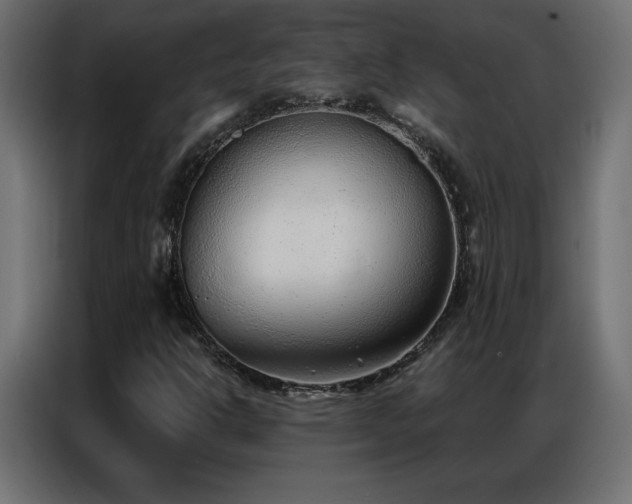 X0000086931302200704161415