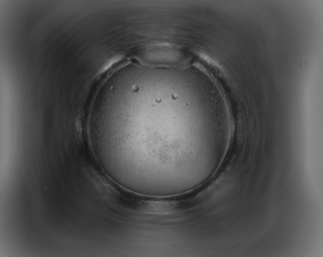 X0000086931305200704161415