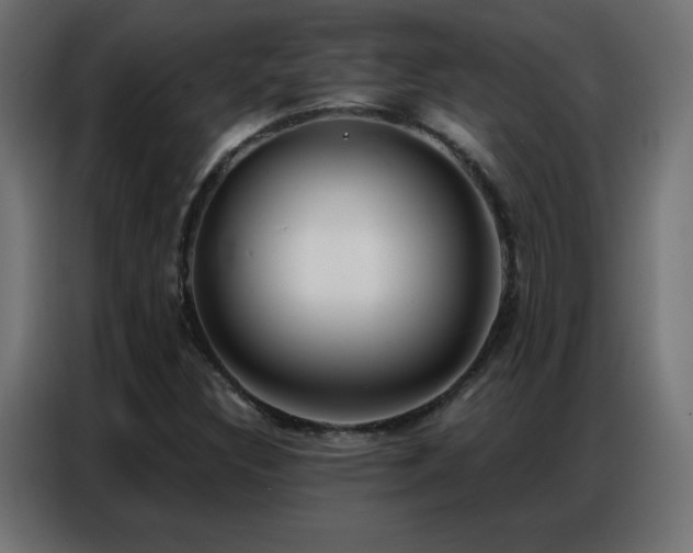 X0000086931308200704161415
