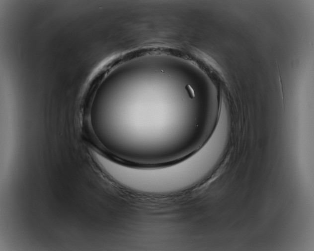 X0000086931310200704161416