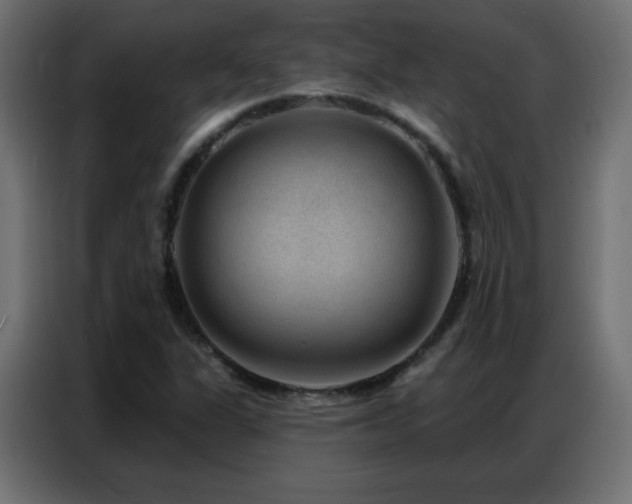 X0000086931311200704161416