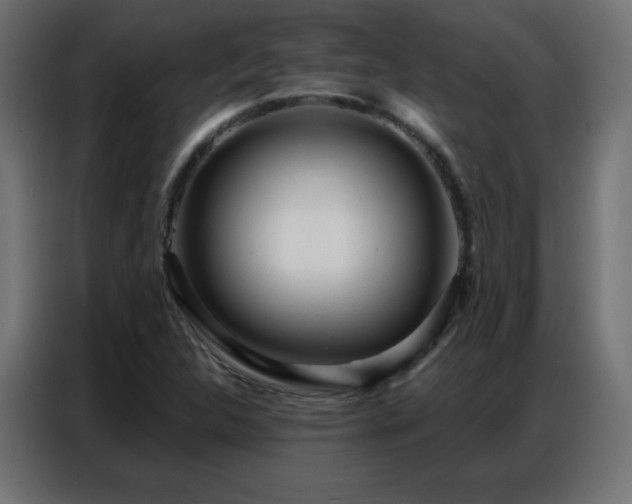 X0000086931312200704161416