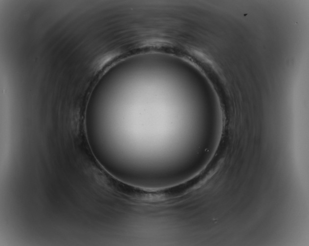 X0000086931313200704161416