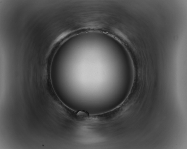 X0000086931315200704161416