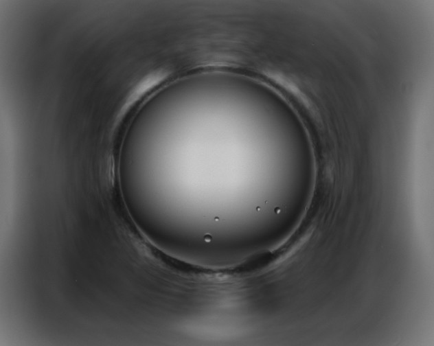 X0000086931317200704161416