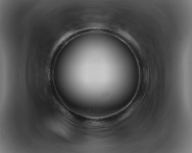 X0000086931318200704161416
