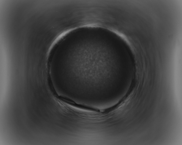 X0000086931319200704161416
