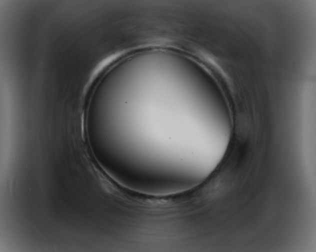 X0000086931320200704161416