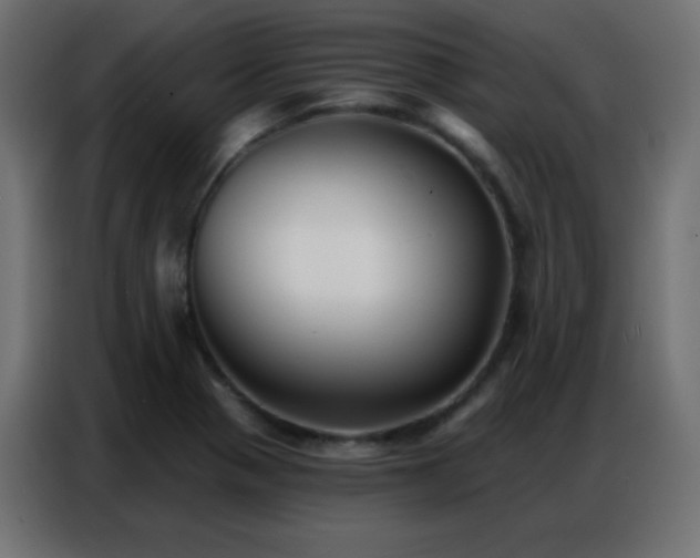 X0000086931321200704161416
