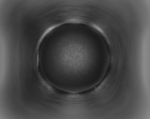 X0000086931323200704161416
