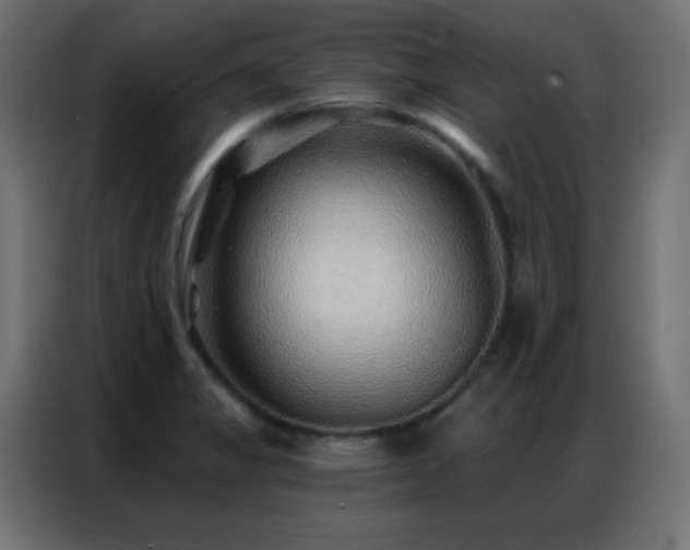 X0000086931325200704161416