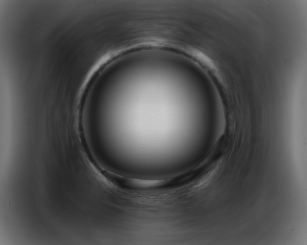 X0000086931326200704161416