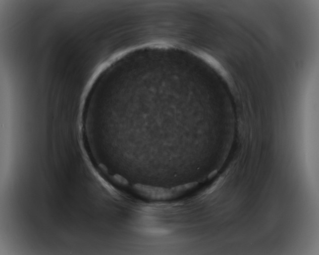 X0000086931327200704161416