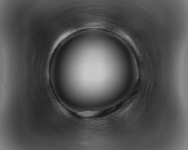 X0000086931328200704161416