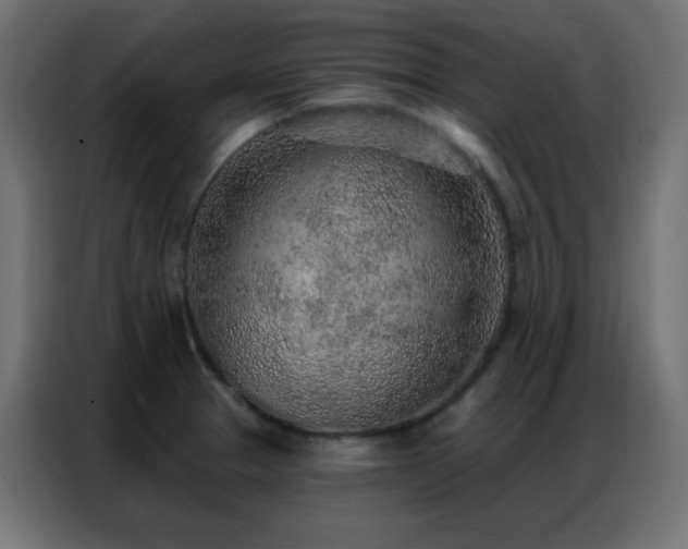X0000086931329200704161416