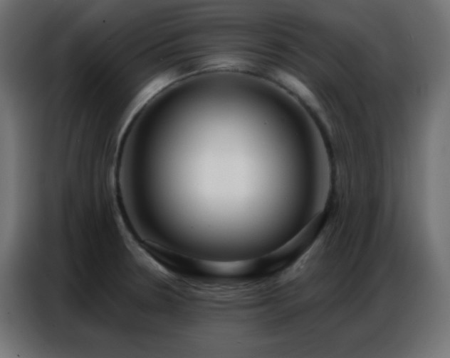 X0000086931330200704161416