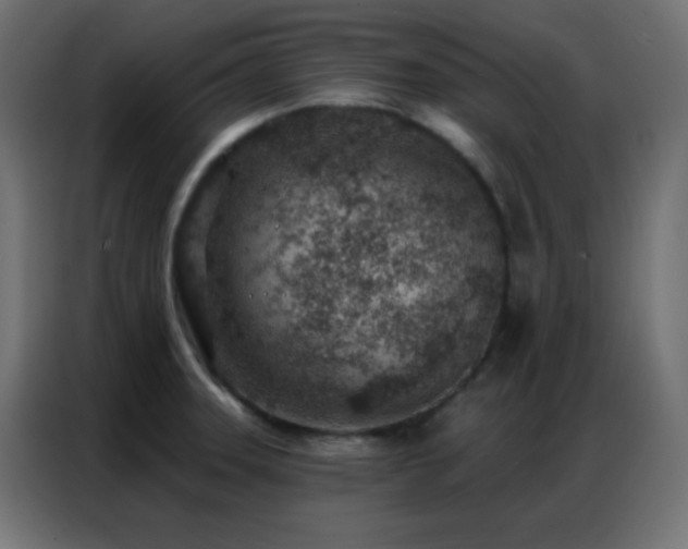 X0000086931331200704161416