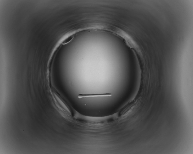 X0000086931332200704161416
