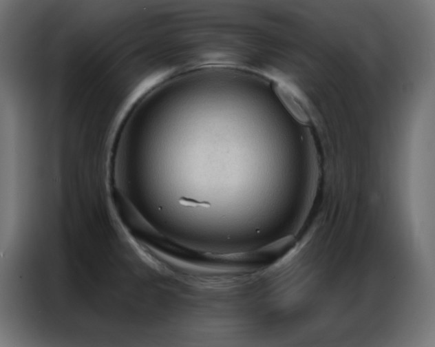 X0000086931333200704161416
