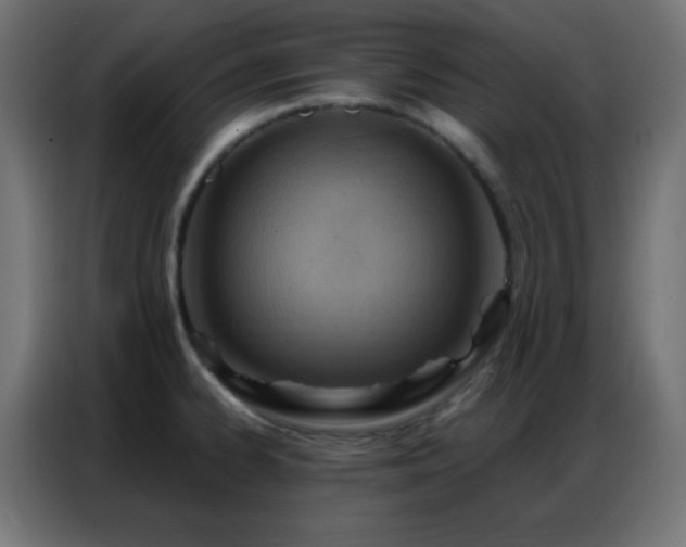 X0000086931334200704161416