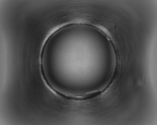 X0000086931335200704161416