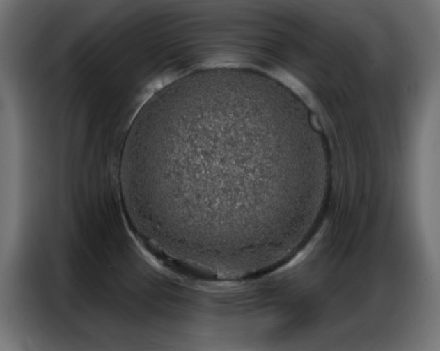 X0000086931337200704161416