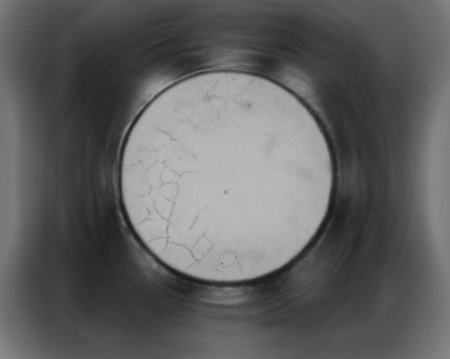 X0000086931338200704161416