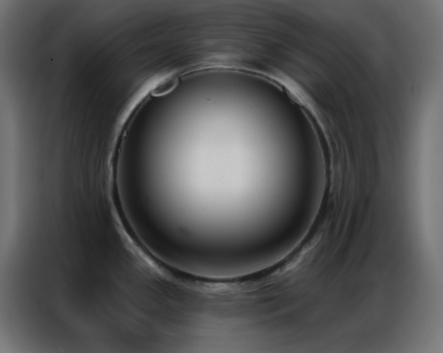 X0000086931341200704161416