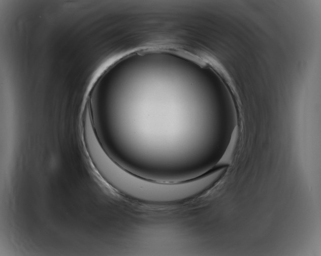 X0000086931344200704161416