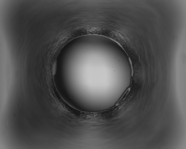 X0000086931345200704161415