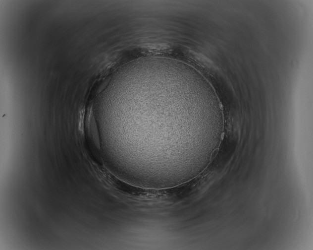 X0000086931346200704161415