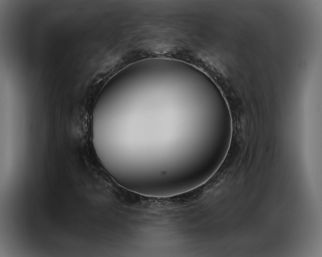 X0000086931349200704161415