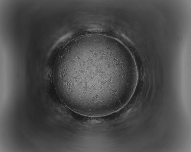 X0000086931351200704161415