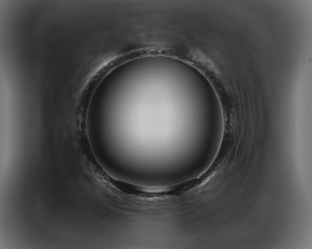 X0000086931352200704161415