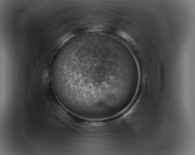 X0000086931353200704161415