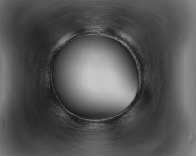 X0000086931354200704161415