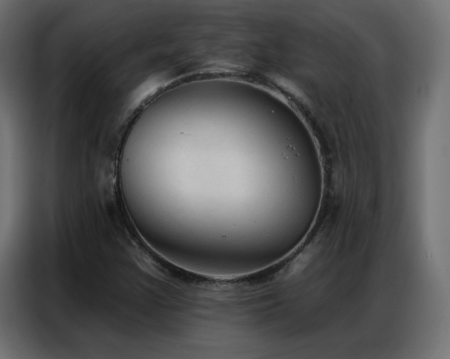 X0000086931355200704161415