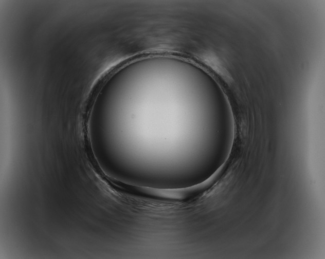 X0000086931356200704161415