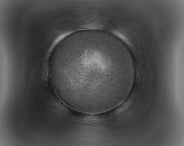 X0000086931358200704161415