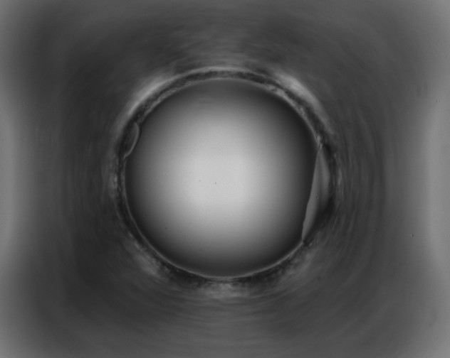 X0000086931360200704161415